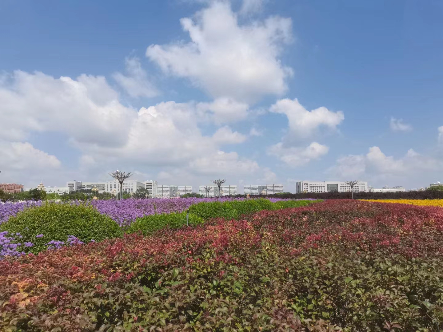 微信图片_20230809091941