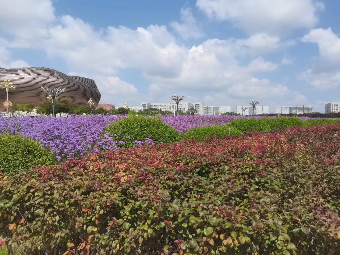 微信图片_20230809091928 微信图片_20230809091928