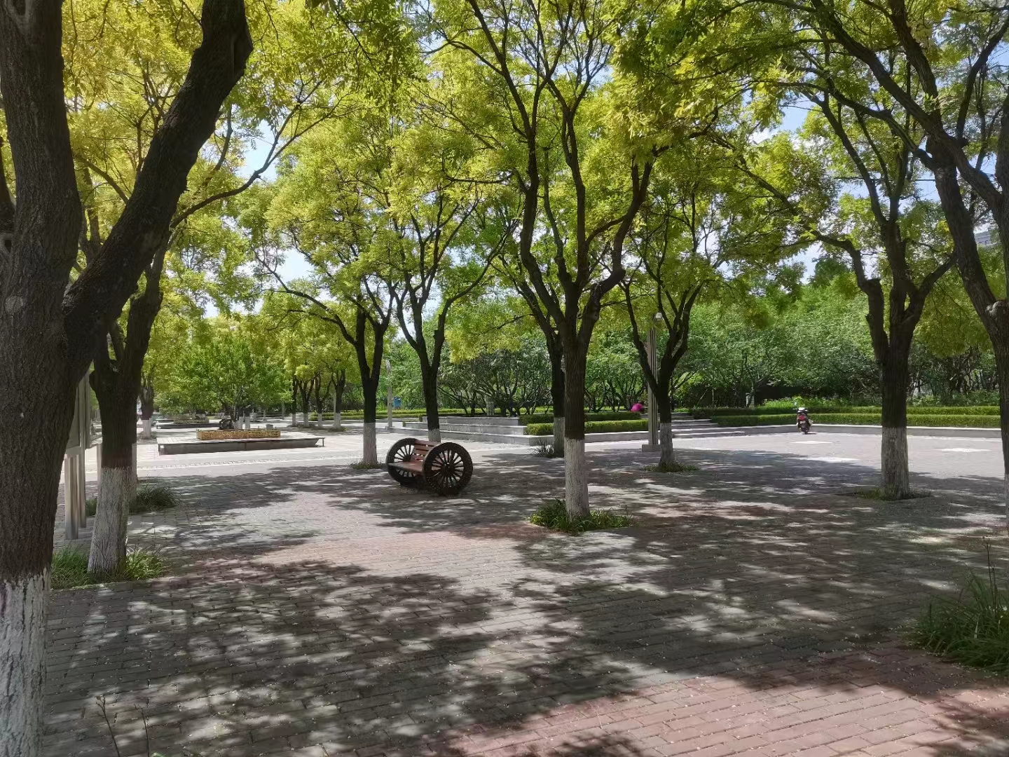 微信图片_20230809091949 微信图片_20230809091949