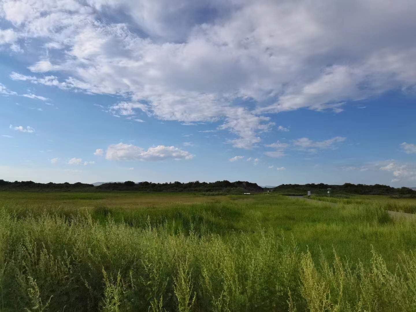 018cd4473da6c0443d125d012ba291f